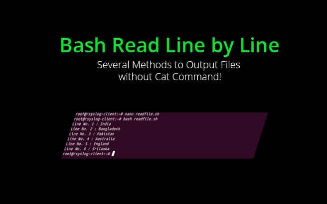 Bash Read Line by Line – Several Methods to Output Files without Cat Command!